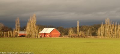 Red barn and green field at sunset near Tangent, Oreon