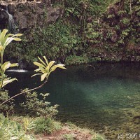 Beautiful tropical pools at Puaakaa State Park