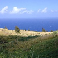 Contrast between the pasture land and the coastline near Kapulena