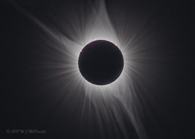 Solar Corona & prominences - photo by John McDonald - used with permission