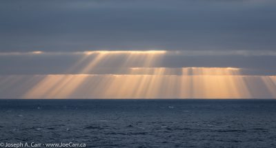Crepuscular rays at sunrise over the Pacific Ocean