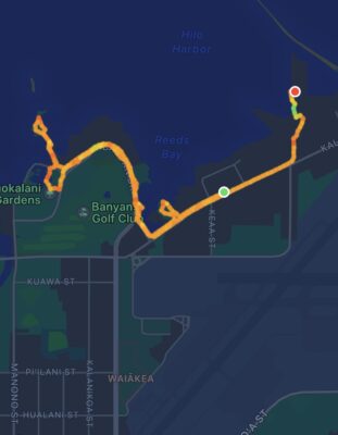 Map of my walk along Hilo Bay from Koningsdam - Apple Fitness iOS app.